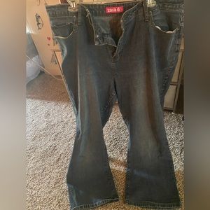 Zana Di Plus Size 24W Jeans